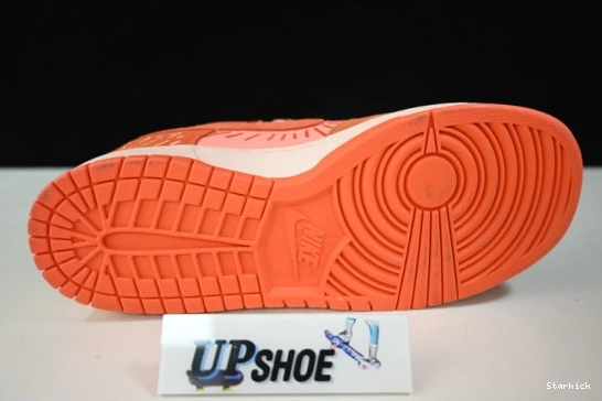 (W) Winter Nike DO6723-800 Solstice Dunk Low NH 0111